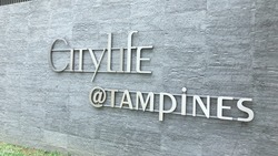 CityLife @ Tampines (D18), Condominium #203271291